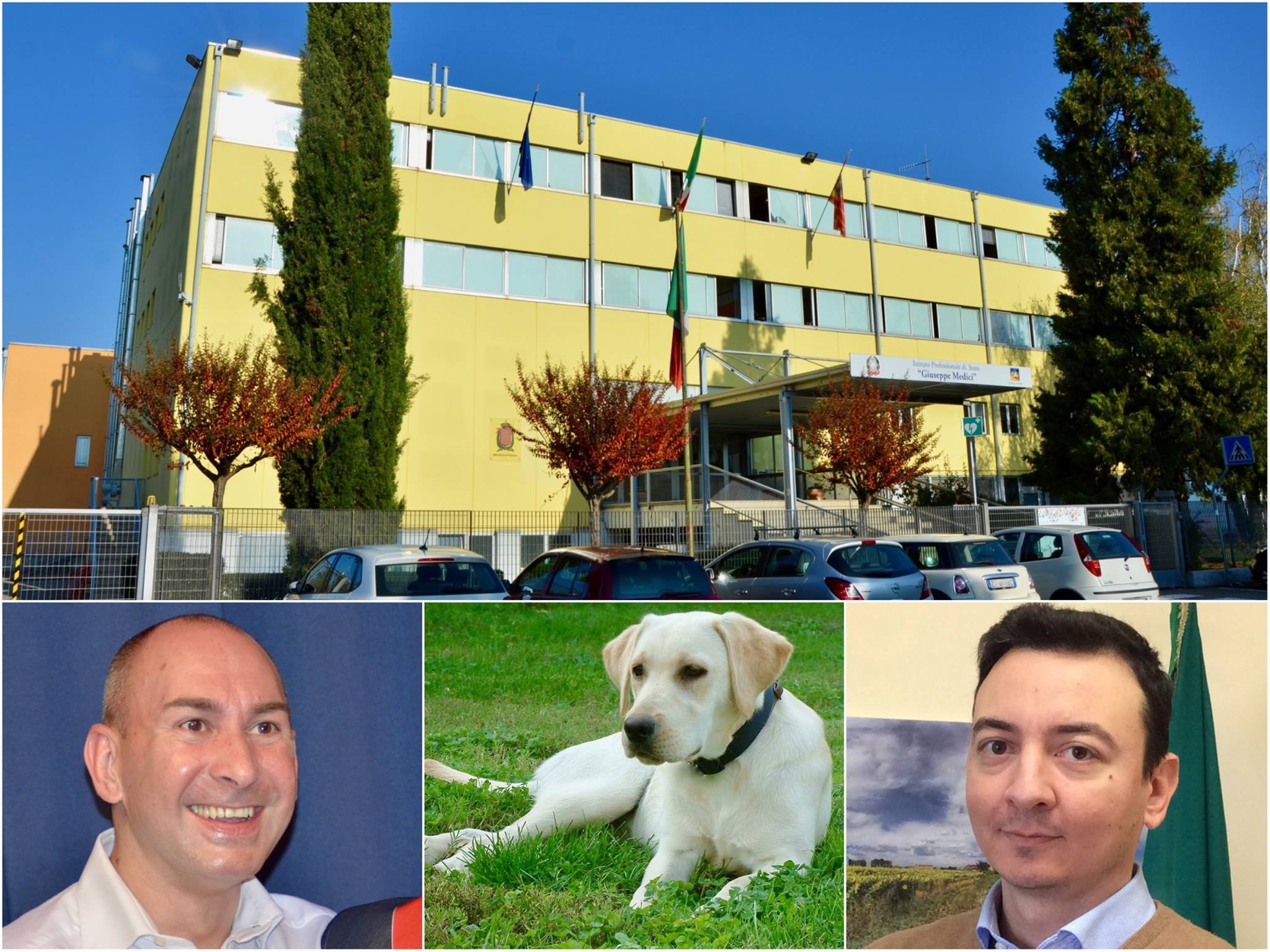 Foto: in alto l'Istituto Giuseppe Medici; in basso da sinistra il presidente del Lions Club di Legnago Emanuele Nascimben; Grace Kelly la femmina labrador di 4 anni; il dirigente scolastico dell'Istituto Medici prof. Stefano Minozzi.