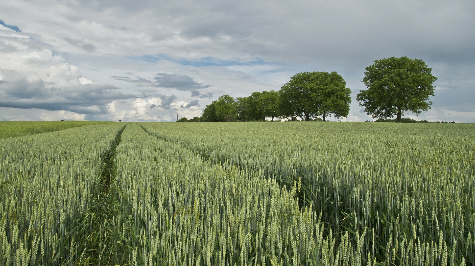 Concorso agroambientale