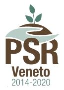 Il logo del PSR Veneto